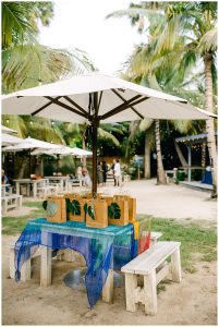 Navya and Connor's Destination Indian Fusion Wedding in St. Thomas