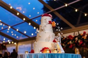 Bianca and Charlie's Beautiful Wedding at Barrington Hills Country Club