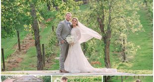 Reagan and Evan's Romantic Summer Wedding in The Blue Ridge Mountains