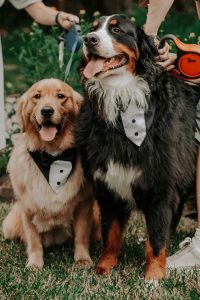 Coey_Rovito_OnFaith Photography_1-80434_low Sierra and Jacob's Dreamy Fairy Garden Wedding