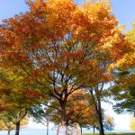Stephanie and Paige's Beautiful Waterside Wedding at Promontory Point in Chicago