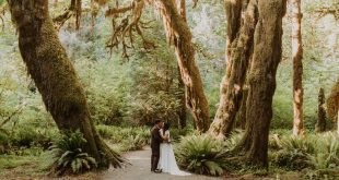 Katie and Rodger's Outdoor Elopement at Olympic National Park