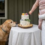 Jessica and Burton's Intimate Wedding in the Heart of the Rockies