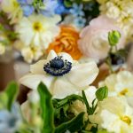 Jessica and Burton's Intimate Wedding in the Heart of the Rockies