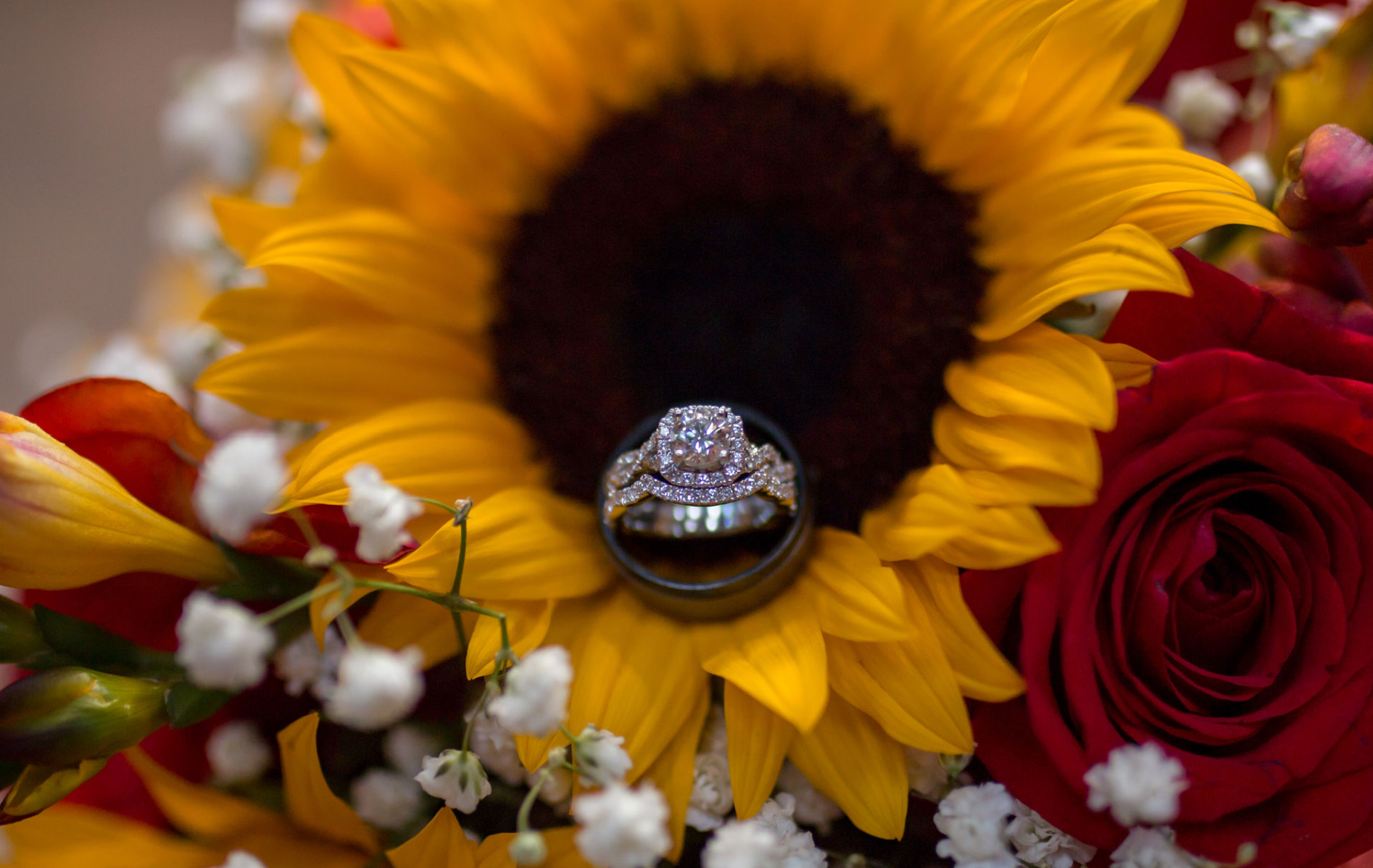 engagement ring and sunflower, yellow barn