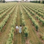 Ryan & Julissa Julissa and Ryan's Intimate Winery Proposal in Italian Countryside