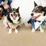 Sara and Utkarsh's Beautiful Multicultural Wedding at Cactus Creek Barn